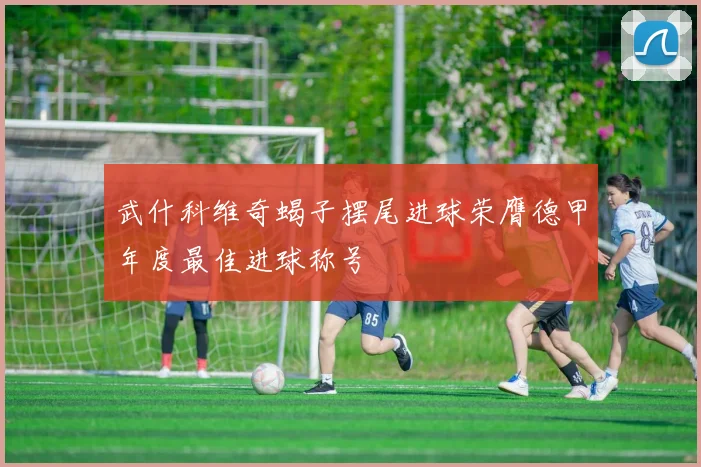 武什科维奇蝎子摆尾进球荣膺德甲年度最佳进球称号